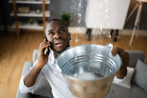 Best 24/7 water damage repair  in Oakdale, MN
