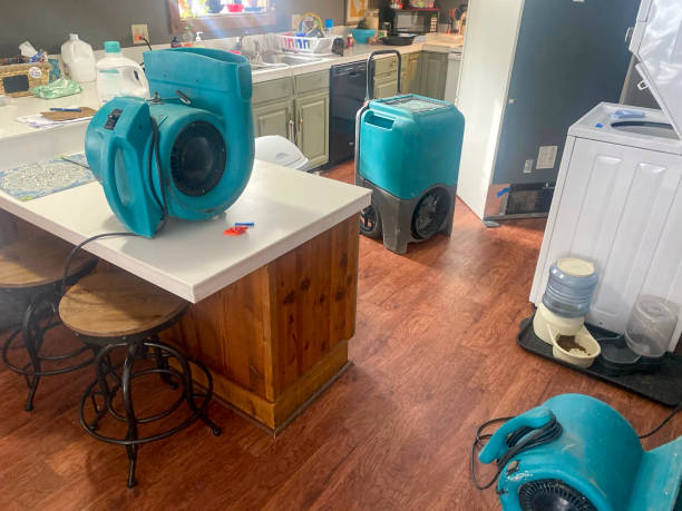Best Sewage cleanup and water damage restoration  in Oakdale, MN