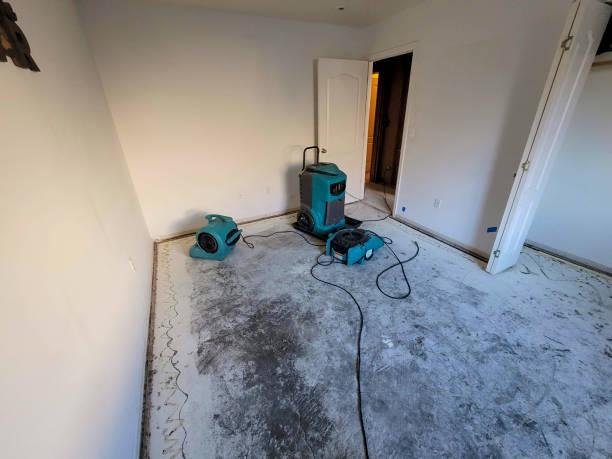 Best Water damage contractors near me  in Oakdale, MN