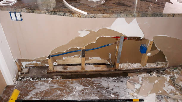 Best Ceiling water damage repair  in Oakdale, MN