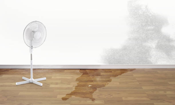 Best Flooded house restoration  in Oakdale, MN