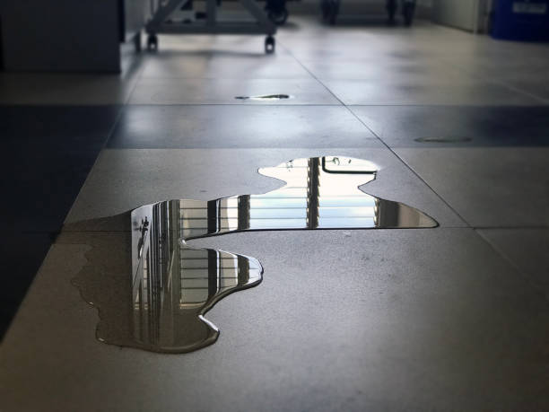 Professional Water damage restoration in MN