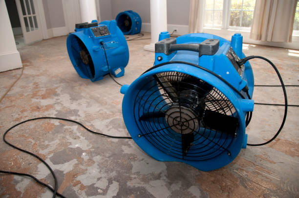Best Emergency water damage restoration  in Oakdale, MN