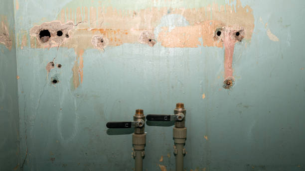 Best Flood damage cleanup  in Oakdale, MN