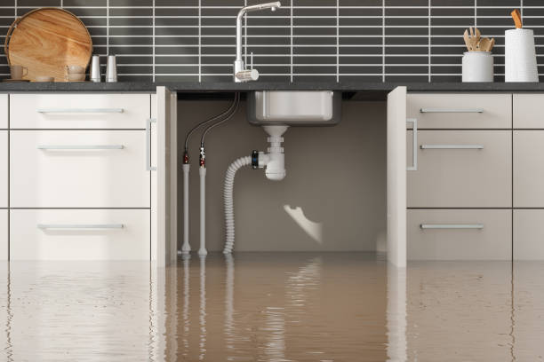 Best Water damage restoration near me  in Oakdale, MN
