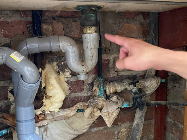 Best Mold removal after water damage  in Oakdale, MN