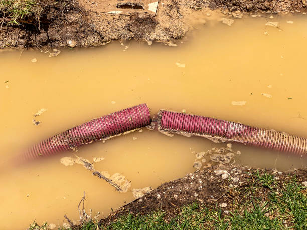 Best Commercial water damage restoration  in Oakdale, MN