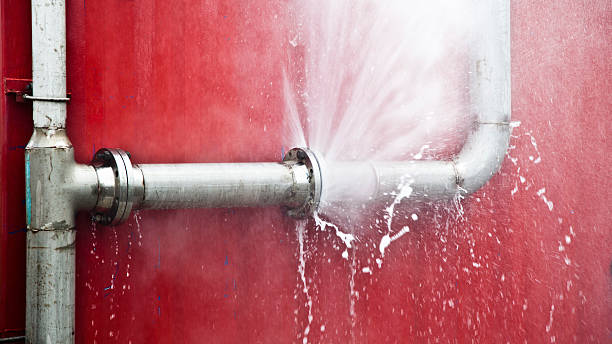 Best Local water damage restoration  in Oakdale, MN