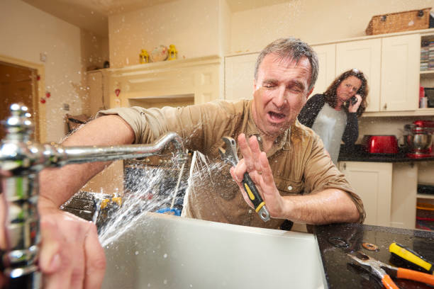 Best Basement water damage restoration  in Oakdale, MN